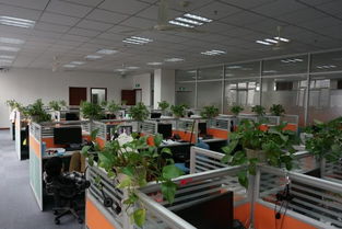 看準(zhǔn)網(wǎng) 技術(shù)驅(qū)動下的網(wǎng)絡(luò)科技開發(fā)與運營