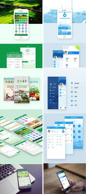 UI設計與軟件開發生態 從App、小程序到網站的全鏈路解析